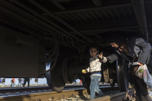 CROATIA, Tovarnik: Refugees attempt to hide under a train at a railway station in Tovarnik, Croatia near the Serbian-border as police move in on their position on September 18, 2015. Refugees are hoping to continue their journey to Germany and Northern Europe via Slovenia  