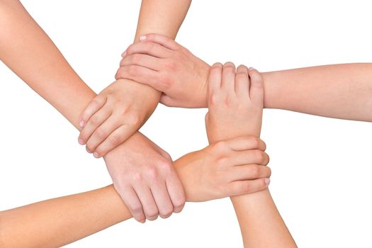 Five arms with hands of girls holding each other joining on white background