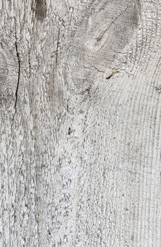 The Texture of grunge wood background. Closeup