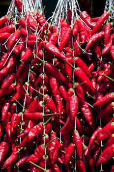 Rows of red hot pepper ready for sale