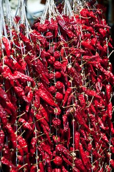 Rows of red hot pepper ready for sale