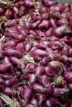 Group of good red onions of Tropea
