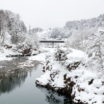 Beautiful Snowfall winter landscape Shirakawago Japan