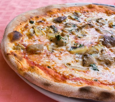 In the picture typical Italian pizza  with tomato,mozzarella,cheese and mushrooms.