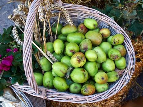 Tasty green organic apples in basket in the market   