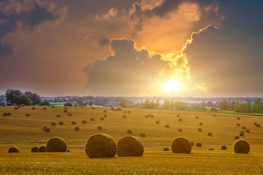 Yellow and Round Straw Bales in a  Field at end of Summer at Sunset with Dramatic Sky with Clouds and Sun after Harvest