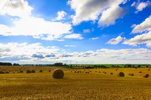 Yellow Straw Bales in a  Field at end of Summer at Day with Clouds after Harvest