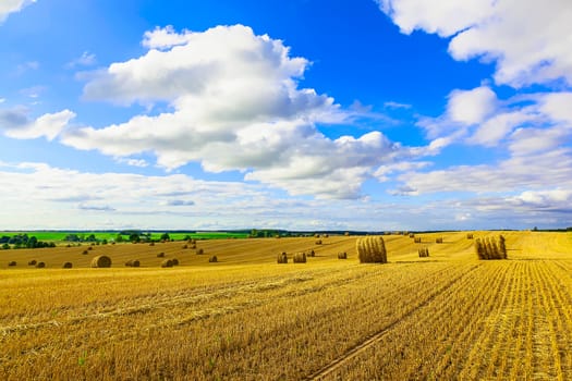 Yellow Straw Bales in a  Field at end of Summer at Day with Clouds, Blue Sky after Harvest