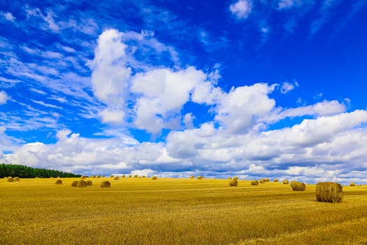 Yellow, Round Straw Bales in a  Field at end of Summer at Day with Clouds and Blue Sky after Harvest