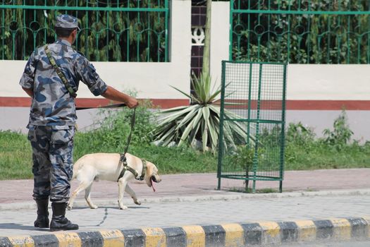 NEPAL, Kathmandu: A soldier walks a dog as Nepal celebrates a new constitution embracing the principles of republicanism, federalism, secularism, and inclusiveness, in Kathmandu on September 20, 2015. Out of the 598 members of the Constituent Assembly, 507 voted for the new constitution, 25 voted against, and 66 abstained in a vote on September 16, 2015. The event was marked with protests organized by parties of the Tharu and Madhesi ethnic communities, which according to Newzulu contributor Anish Gujarel led to violence in Southern Nepal.