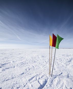 The Flags on the background of winter sky