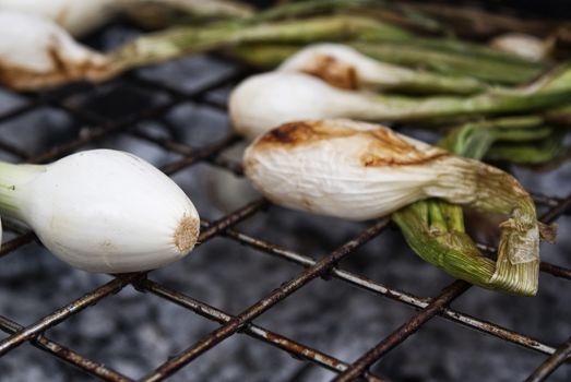 Photograph of some onion on a hot grill