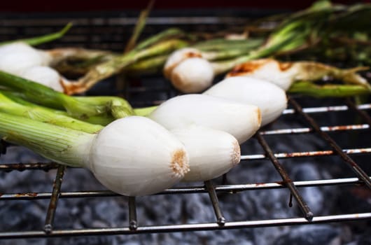 Photograph of some onion on a hot grill