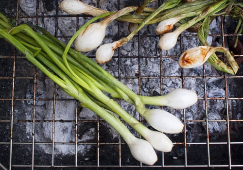 Photograph of some onion on a hot grill