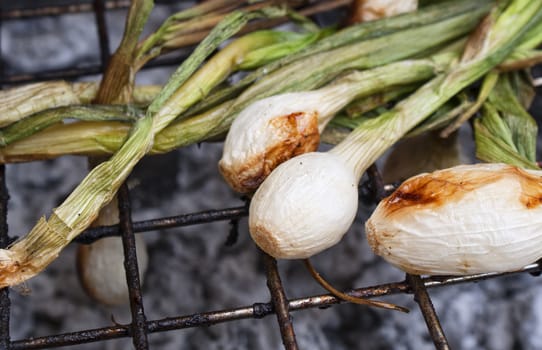 Photograph of some onion on a hot grill