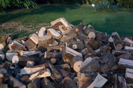 A pile of cut firewood in the yard.