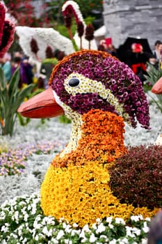 Duck with flower decoration and blur background