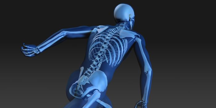 Human Body and Skeleton Anatomy Xray Concept