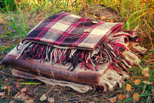 In the woods on the grass, covered with fallen leaves, are two warm blanket to relax in the woods after the walk.