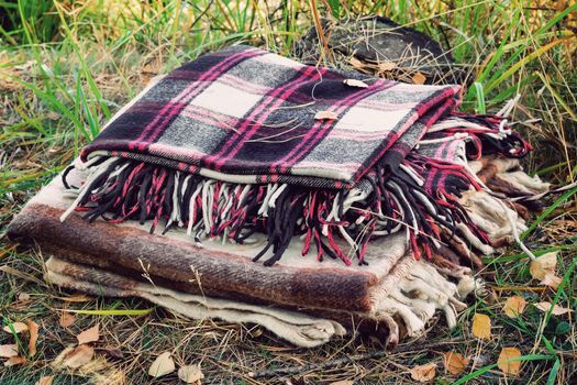 In the woods on the grass, covered with fallen leaves, are two warm blanket to relax in the woods after the walk.