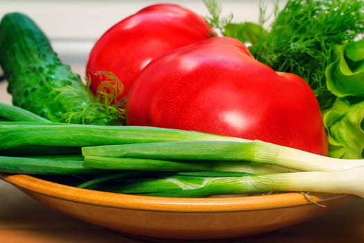 On a ceramic dish are large ripe tomatoes, cucumber, green onions, lettuce. Presents closeup.