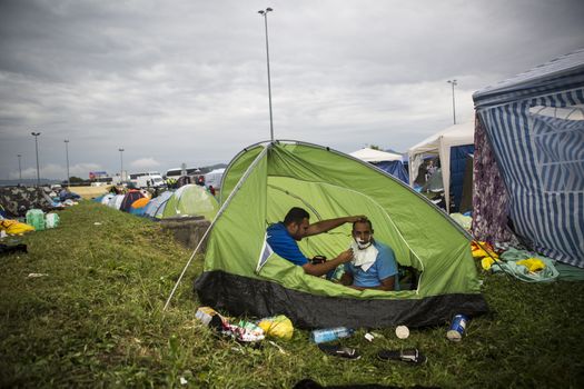 CROATIA, Harmica: One man helps another shave as the two refugees on the border between Croatia and Slovenia find ways to pass the time on September 20, 2015.  Refugees are at the mercy of European authorities as they attempt to escape their war-ravaged countries.