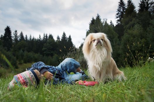 Cute little boy and his dog rolling on the grass.