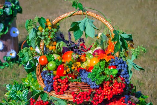 Large ripe apples , grapes, berries and vegetables are sold in beautifully decorated wicker basket at the fair.