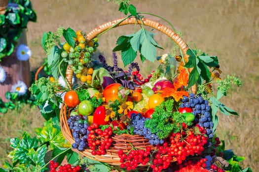 Large ripe apples , grapes, berries and vegetables are sold in beautifully decorated wicker basket at the fair.