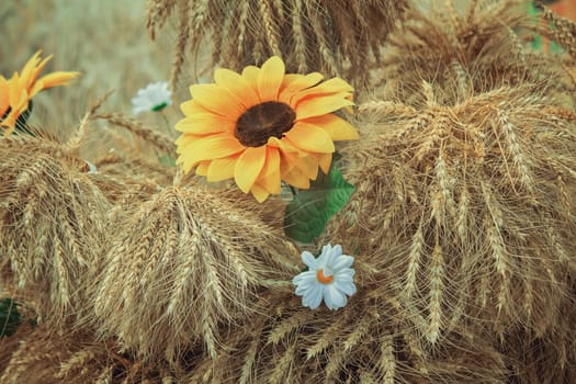 Still life:beautiful white and yellow artificial flowers surrounded by ears of ripe rye.