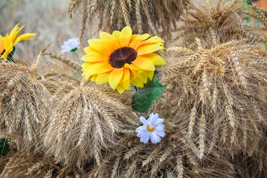 Still life:beautiful white and yellow artificial flowers surrounded by ears of ripe rye.