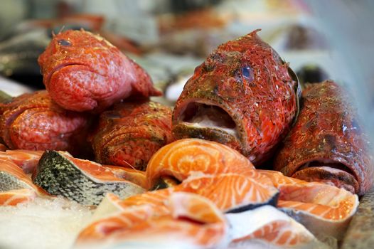 Fresh red scorpionfish and salmon stakes at fishmongers