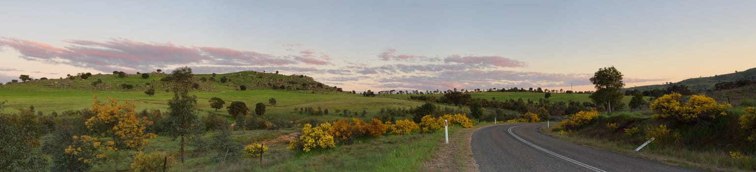 Dawn light on the beautiful lush green hills at Wyangala as the wattle lined road curves and meanders around the unspoilt landscape.  Many of the hills out here are dotted with large boulders and stones.