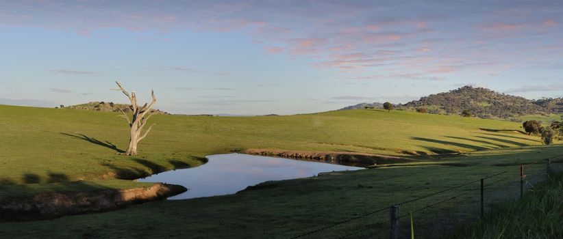 First rays of sunlight stretch across the landscape  and cockatoos roost on a dead tree alongside a billabong  in Wyangala, Australia