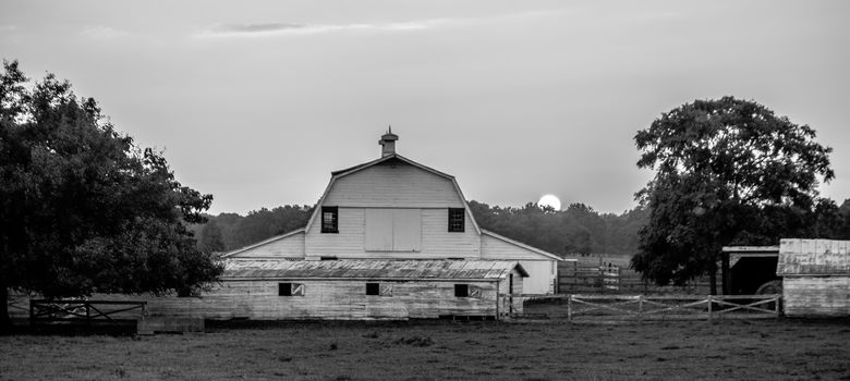 york south carolina white rose city