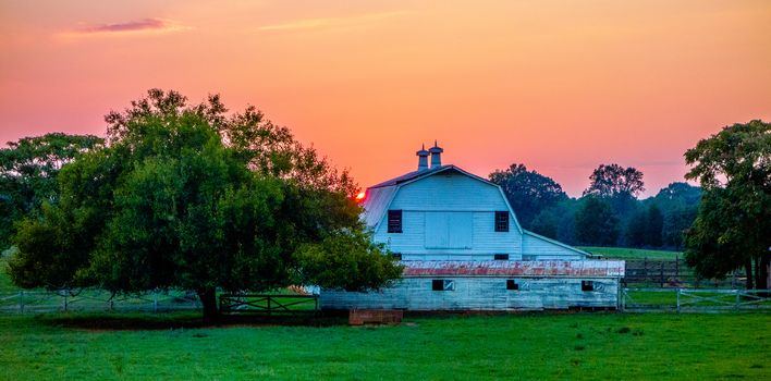 york south carolina white rose city