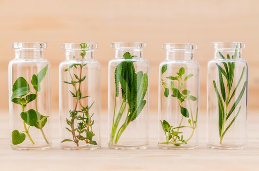 Bottle of essential oil lemon thyme ,thyme ,oregano,rosemary and sage leaf on wooden background.