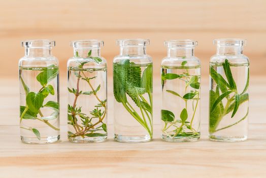 Bottle of essential oil lemon thyme ,thyme ,oregano,rosemary and sage leaf on wooden background.