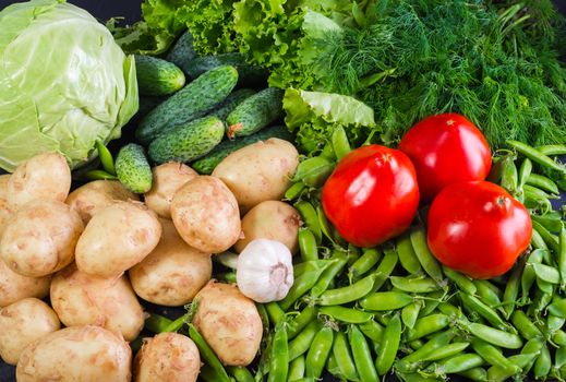 Harvest of rustic fresh, raw, healthy vegetables. Ingredients for vegetable dishes, vegetarian cuisine