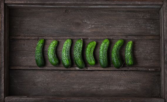 A series of fresh small cucumbers in old wooden box, top view. Breakfast for raw foodists.