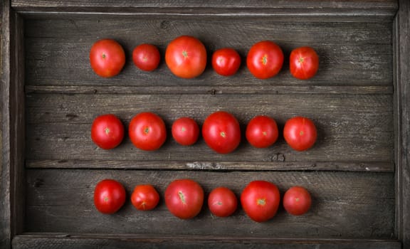 Three rows of ripe rustic tomatoes in old wooden box, top view, closeup. 