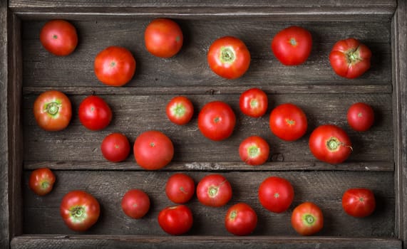 Ripe rustic tomatoes in old wooden box, top view, closeup. 