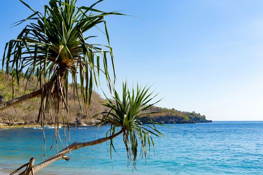 dream famous Crystal beach at Nusa Penida island with blue sky and catamaran, there can be mola mola fish