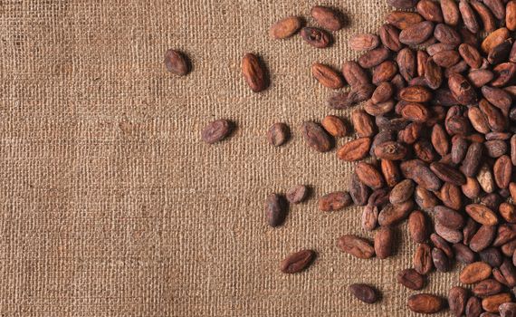  Raw cocoa beans for raw foodists on  sacking top view, close-up