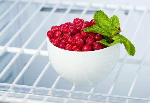 frozen red currants and mint in white cup in the freezer