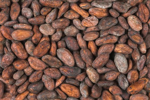 raw cocoa or cacao beans, top view,  background 