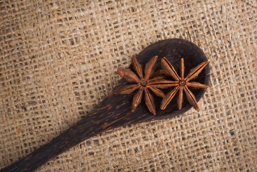 Spice star anise in a wooden spoon on sacking