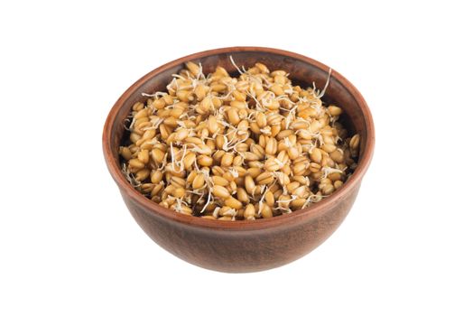  raw sprouted wheat germ  for healthy food  in a brown ceramic bowl isolated on white background 