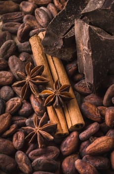 Raw cocoa beans, delicious black chocolate, cinnamon sticks, star anise,  beautiful composition, top wiew