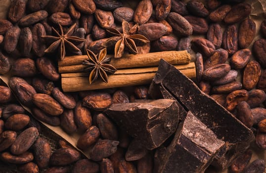Raw cocoa beans, raw dark homemade chocolate for raw foodists, cinnamon sticks, star anise, top view